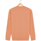 Sweat TAIGA épais Unisexe Couleurs Festives